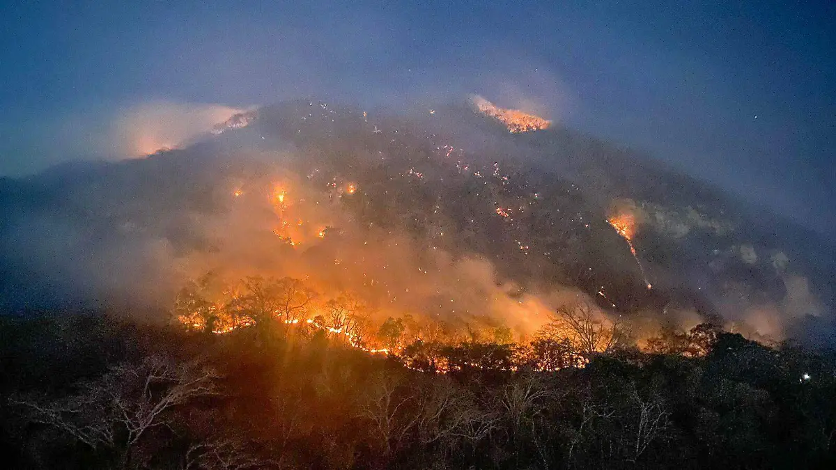 973495_Chiapas Incendio Forestal_impreso
