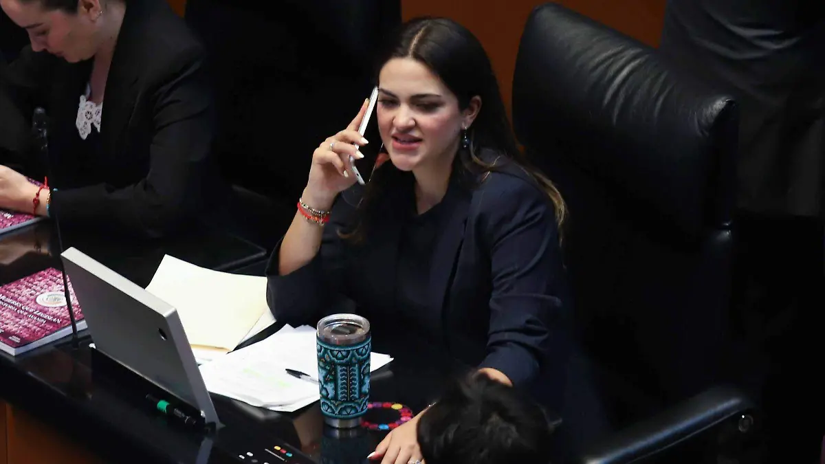 1076849_Sesión Ordinaria Senado_web