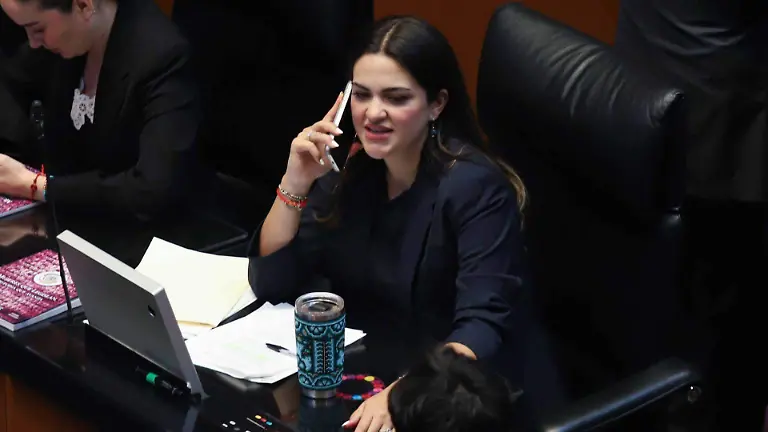 1076849_Sesión Ordinaria Senado_web