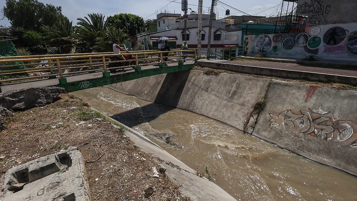 Humedal de Cuautepec Abandonado-44