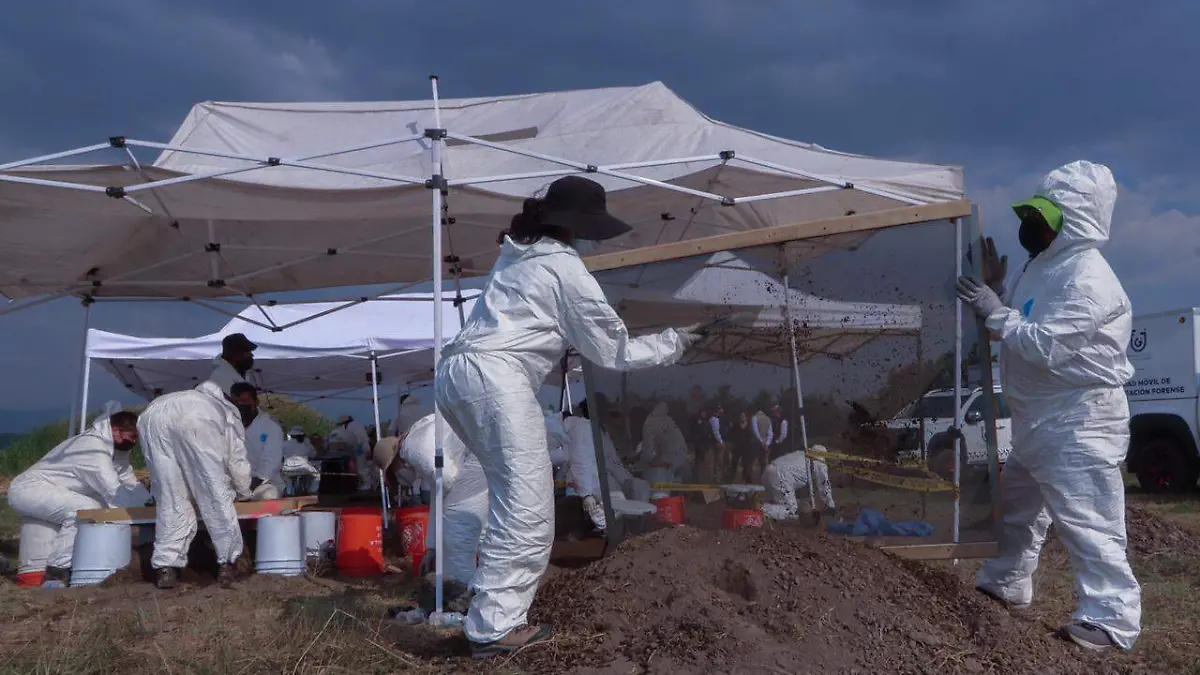 WhatsApp Image 2026-04-16 at 19.04.11