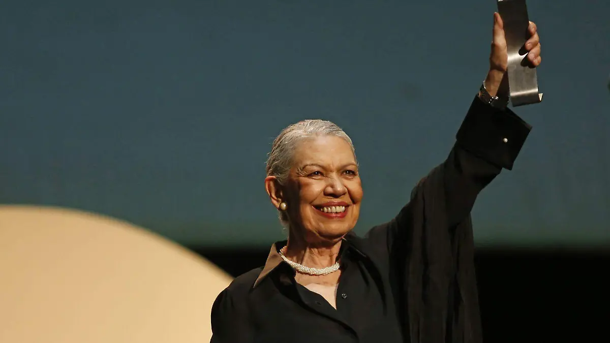 1078064_Inauguración FICG 41_web