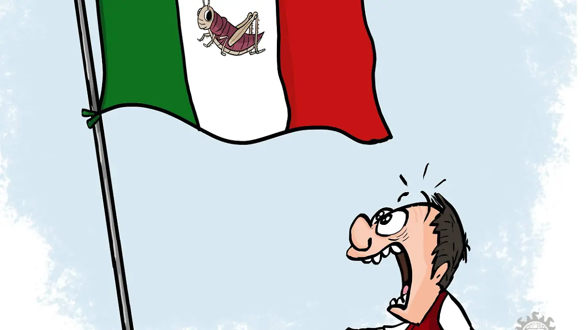 cartónOSVALDO d (1)