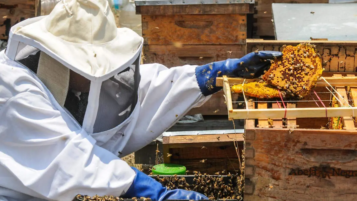 WhatsApp Image 2026-04-19 at 19.05.33