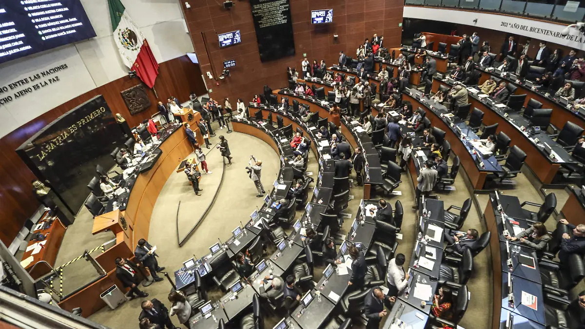 Senado-Sesion-Ley de ingresos-Senadores-Votacion (4)