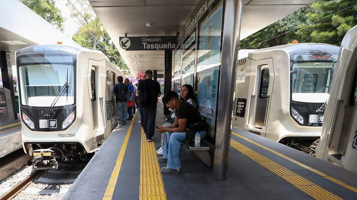 Tren Ligero. ROMINA (9)