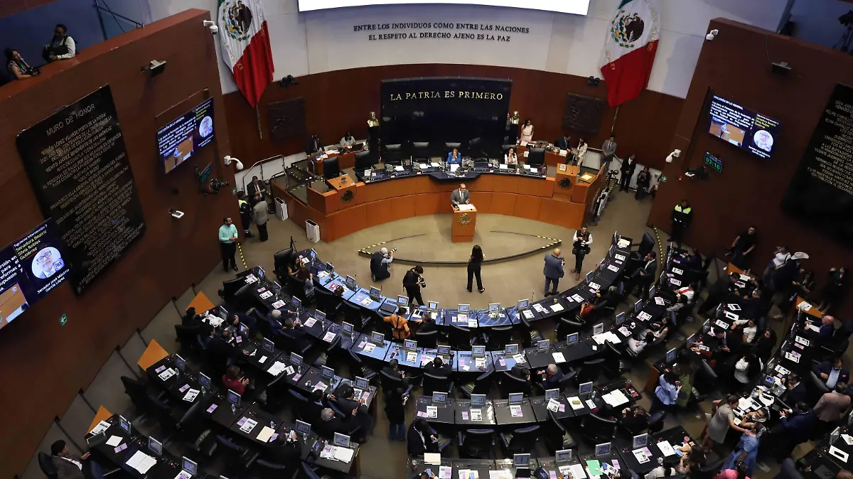 1076702_Sesión Ordinaria Senado_impreso