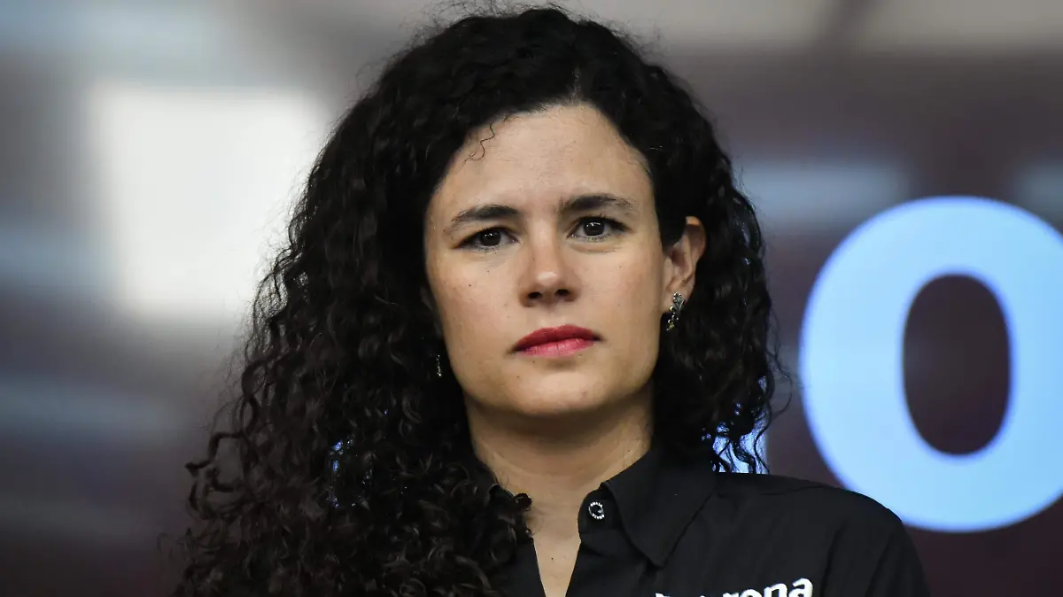 1077816_Morena Designación Elecciones Citlalli_impreso