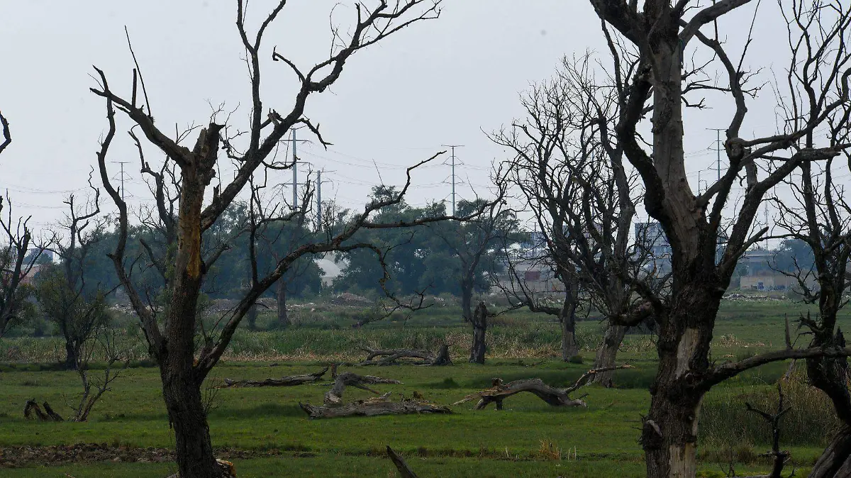 983820_Humedales Lerma_web