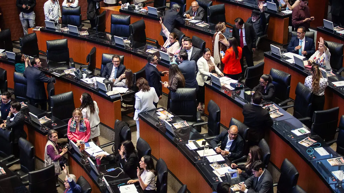 1077574_Sesión Cámara de senadores_impreso