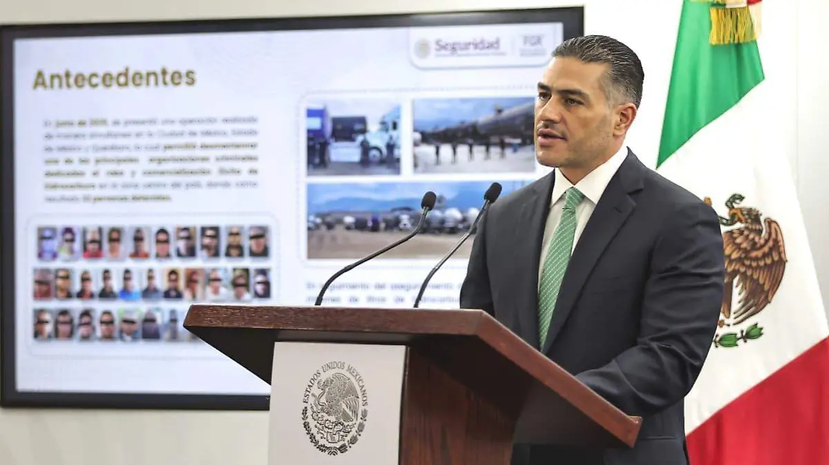 GABINETE DE SEGURIDAD (2)