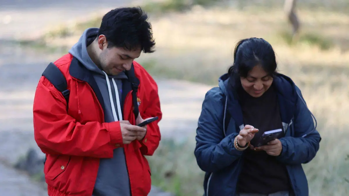 1065083_Registro líneas telefónicas usuarios_web