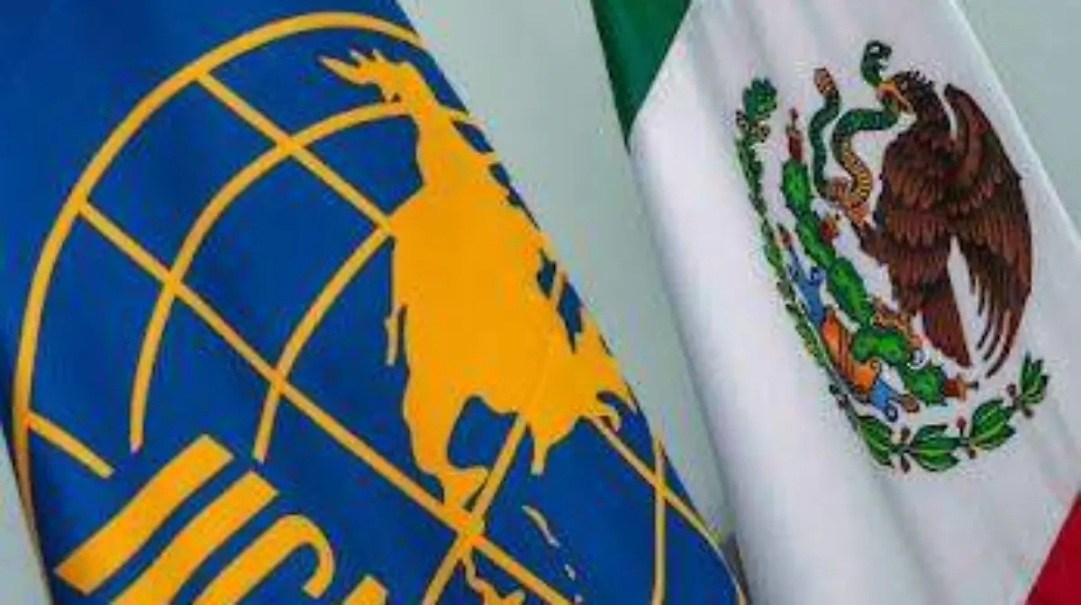 WhatsApp Image 2026-04-23 at 15.21.11