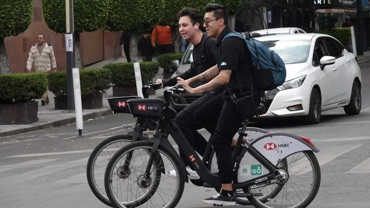 1012083_Servicio Ecobici_impreso