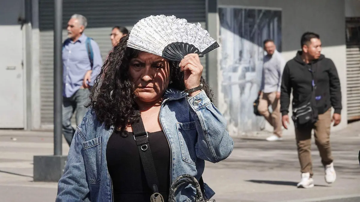 1070017_Calor Glorieta de los Insurgentes_web