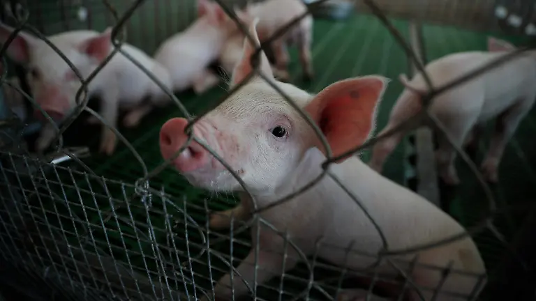 48480f9fb2148214c3ad84a81c03e548f00606fd