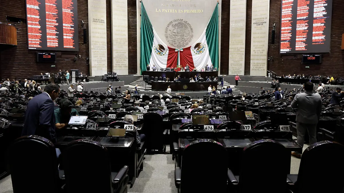 CONGRESO DE LA UNION DIPUTADOS laura lovera (2)