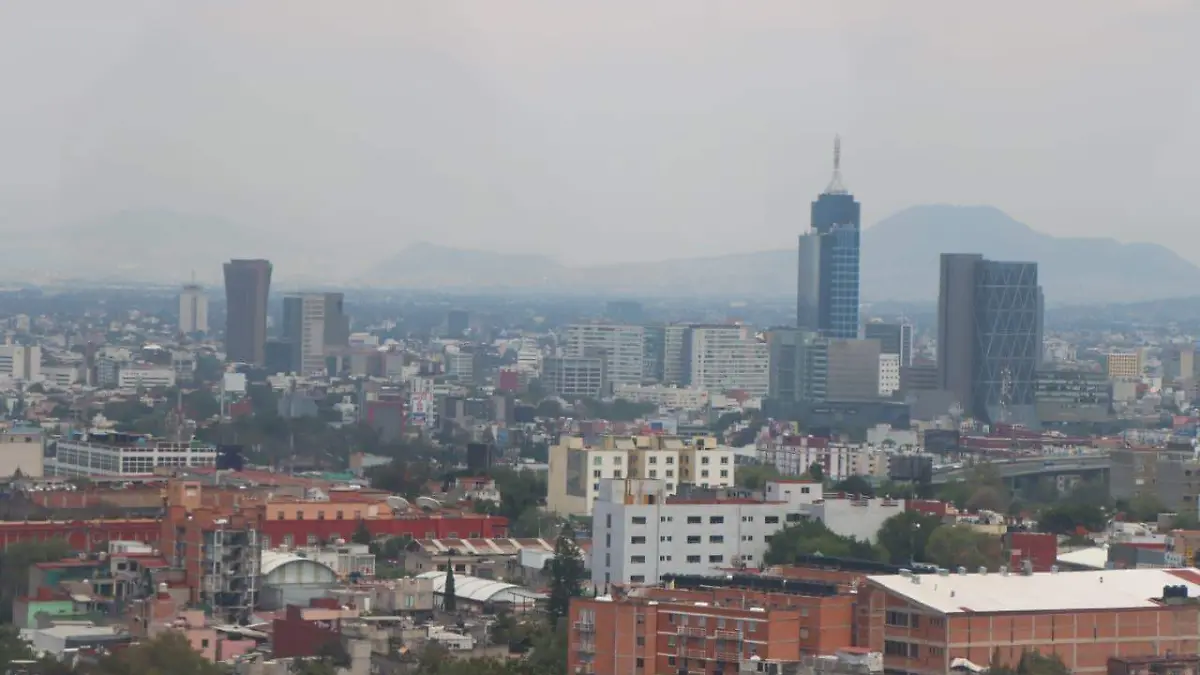 WhatsApp Image 2026-04-26 at 3.05.51 PM