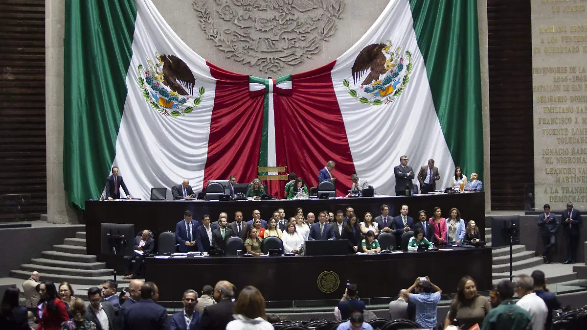 1079540_Sesión Cámara de diputados_impreso