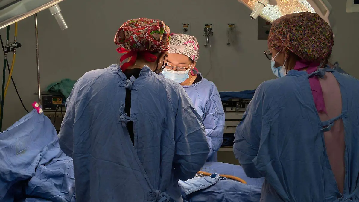 1062650_Primer Nacimiento 2026_web