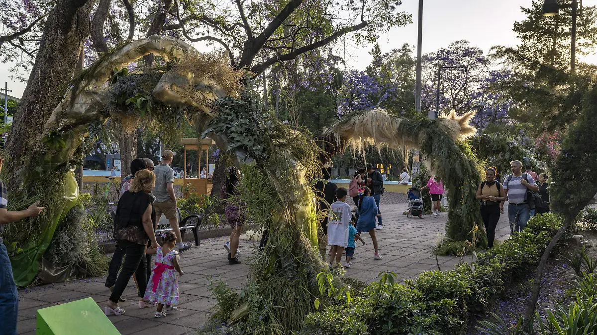 FLORES Y JARDINES (1)