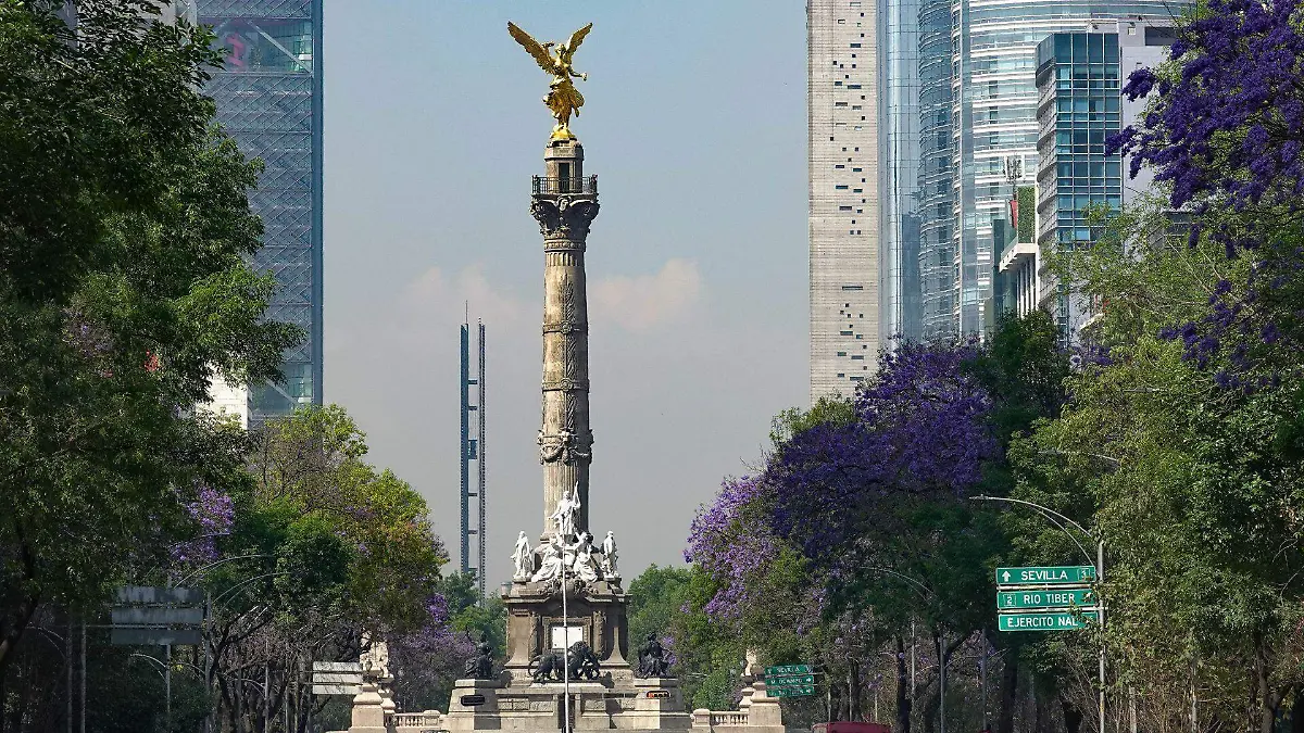 1073807_Marcha CNTE Paro Nacional_web