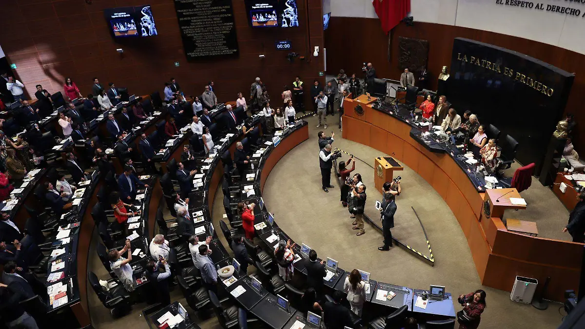 1079698_Senado Sesión Ordinaria_web