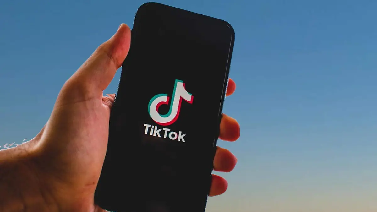 nikuga-tiktok-5390055_1920
