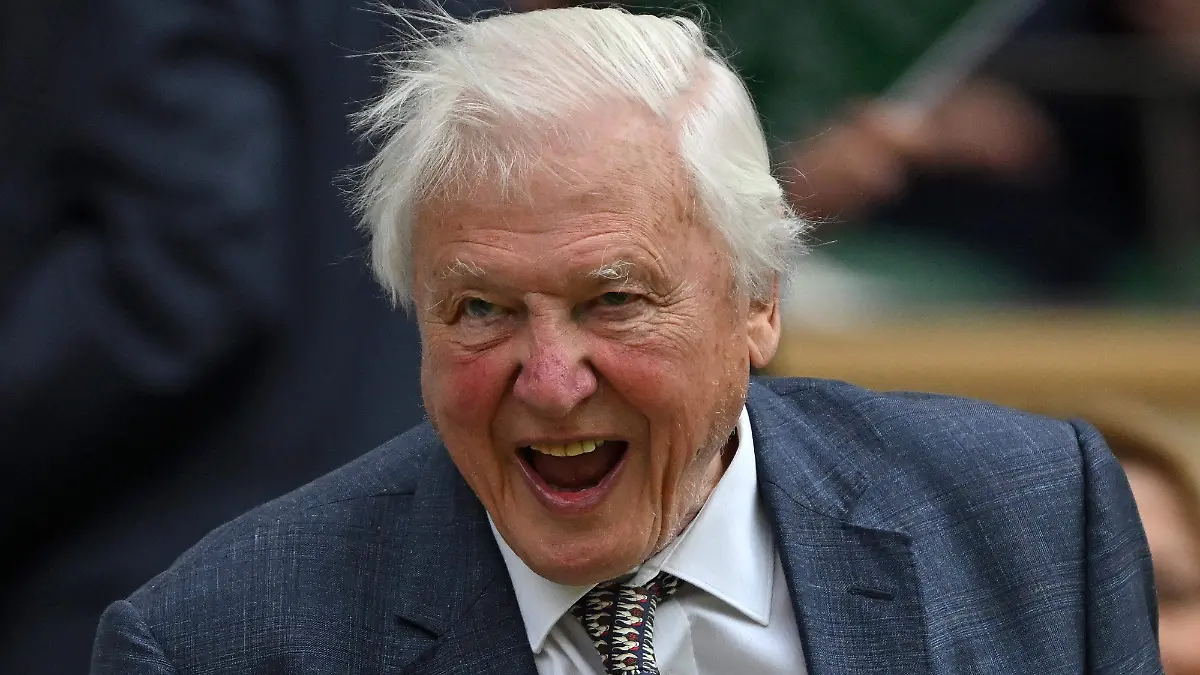 AFP__20260506__A9W4264__v1__HighRes__FilesBritainScienceEconomyWildlifeAttenborough