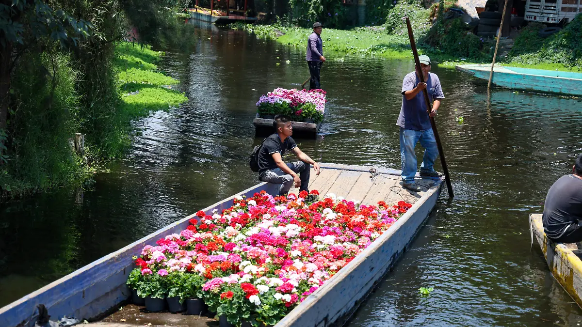 CALTONGO XOCHIMILCO ADVIERTEN INUNDACIONES romina solis (7)