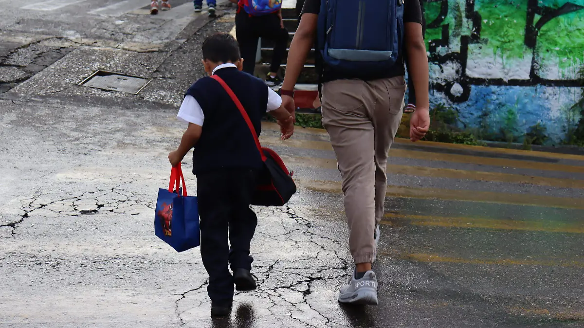 6174931-escuelas-brigadas2-luis-flores