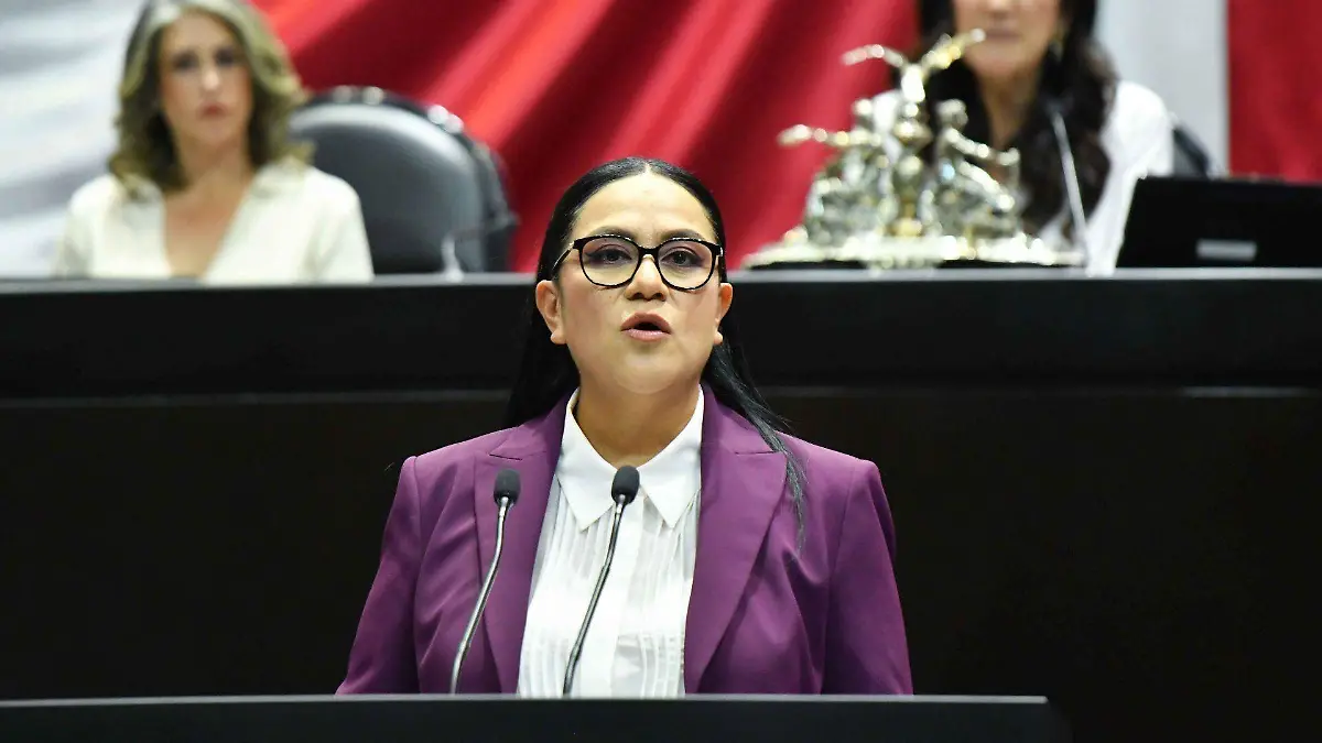 1057225_Diputados Comparecencia Bienestar_web