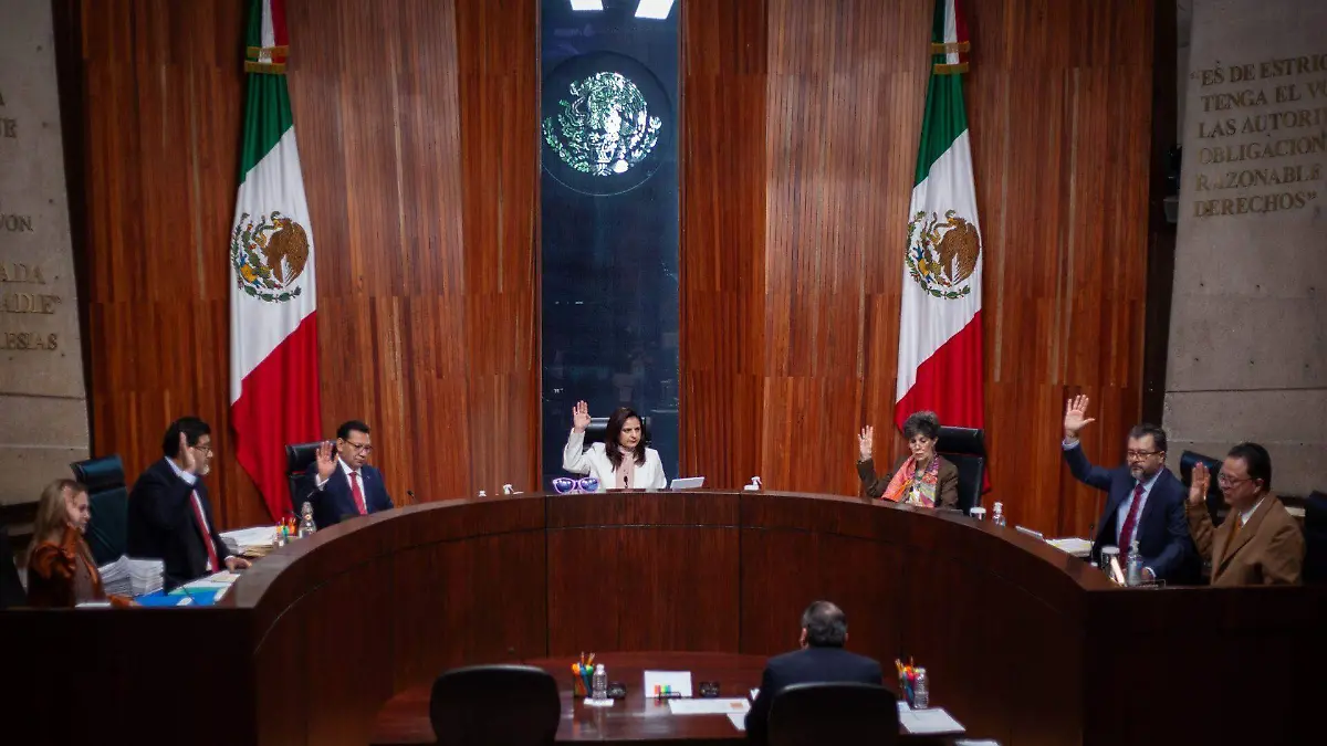 1054567_Sesión pública TEPJF_web