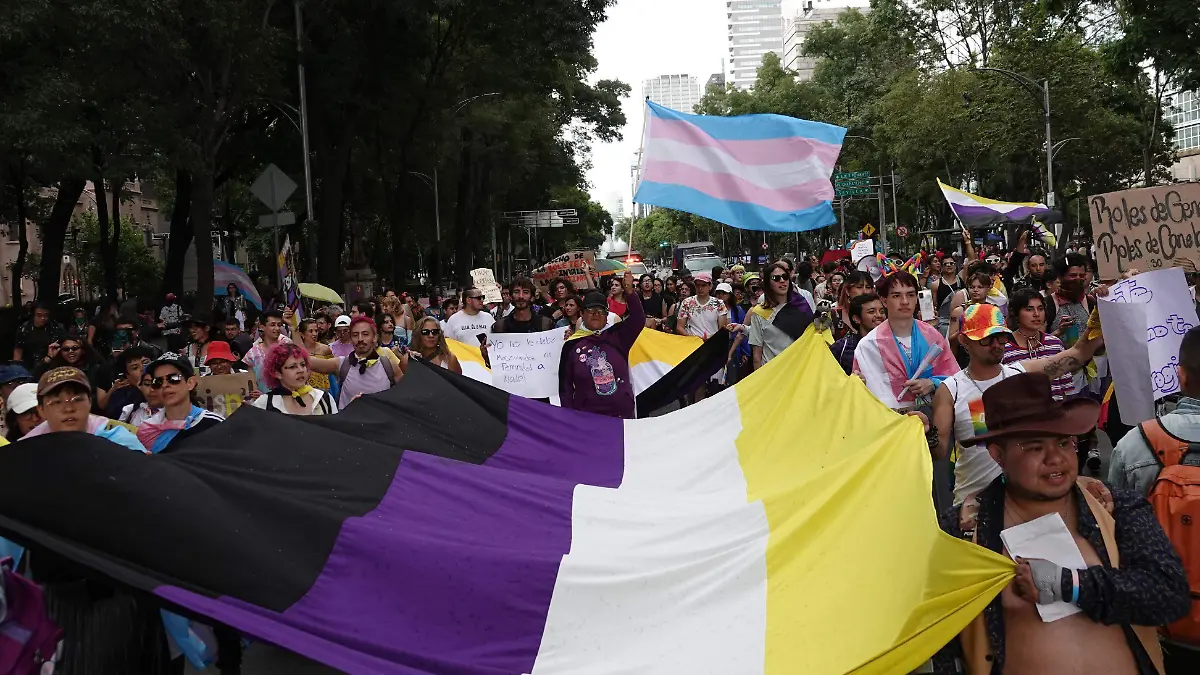 988691_Marcha Magistrade Ociel Baena_impreso