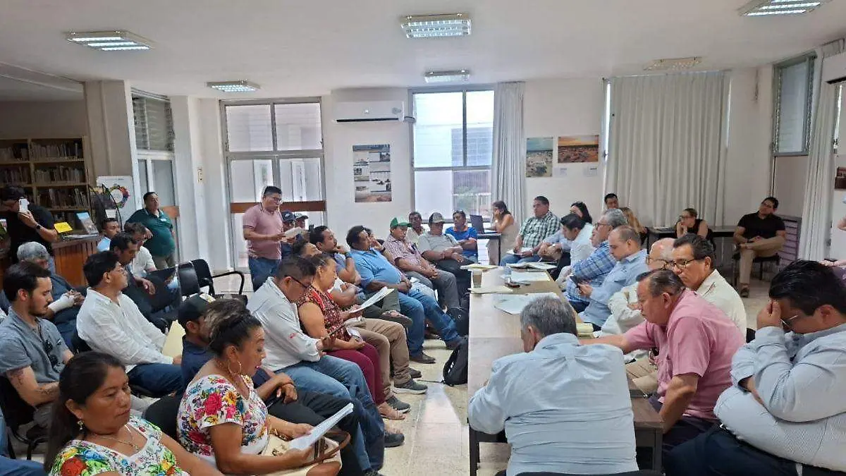 Consejo Indígena de Gobierno de Pisté