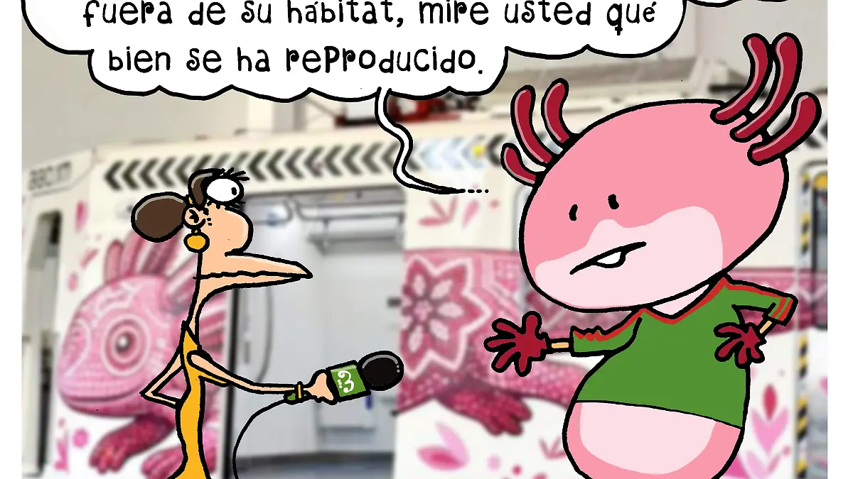 cartón PATRICIO