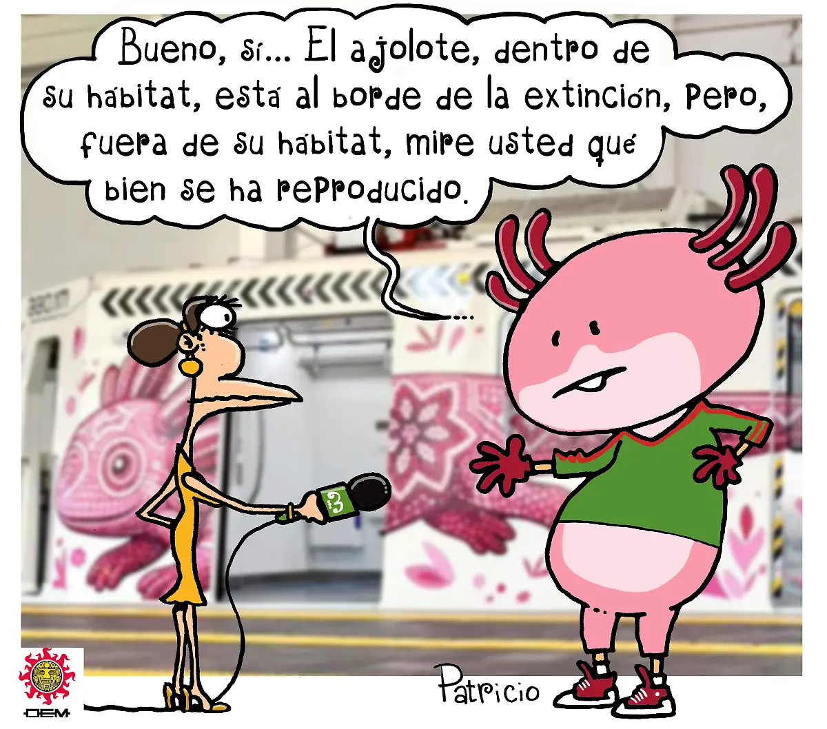 cartón PATRICIO