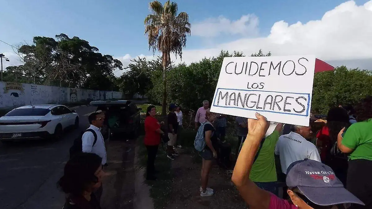MANGLARES
