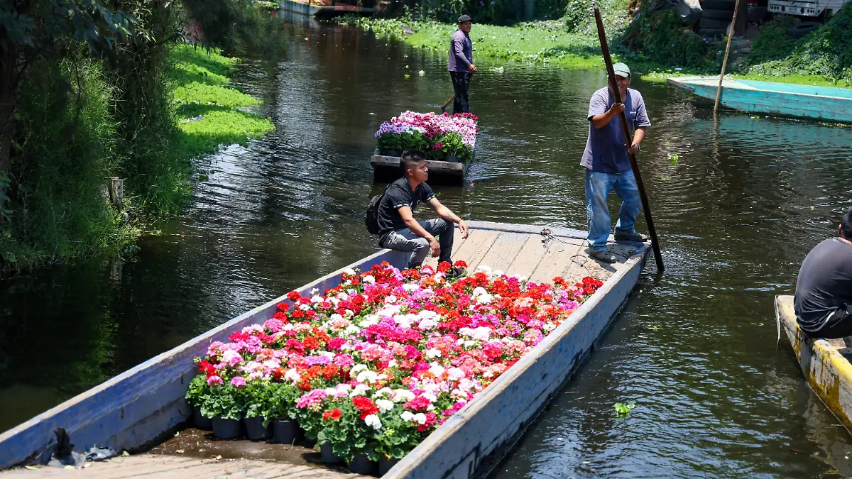 XOCHIMILCO REMODELACION POR  EL MUNDIAL romina solis (2)