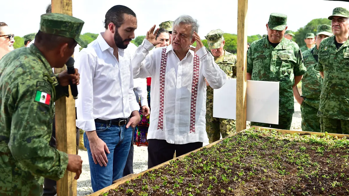 SEMBANDO VIDA EN EL SALVADOR cortesia presidencia (2)