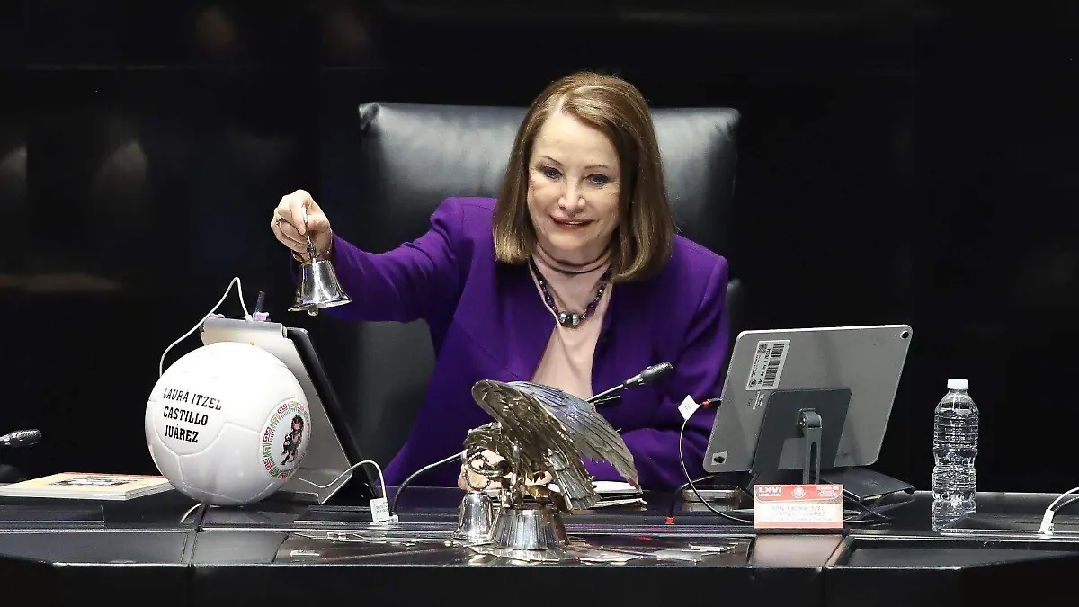 1073819_Sesión Senado_web
