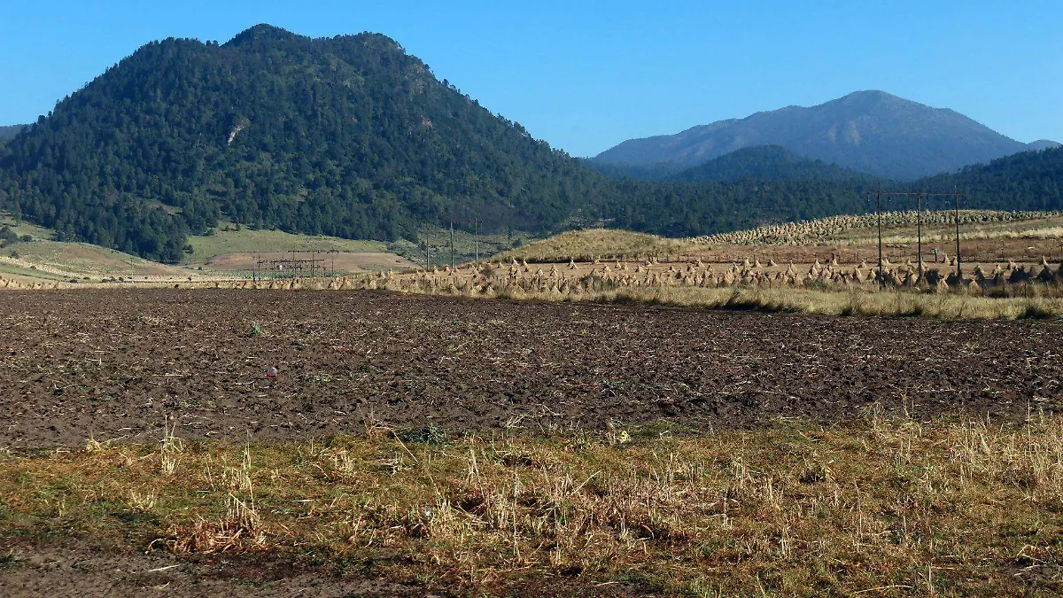 785149_Paisaje Deforestación Bosque Agua_web