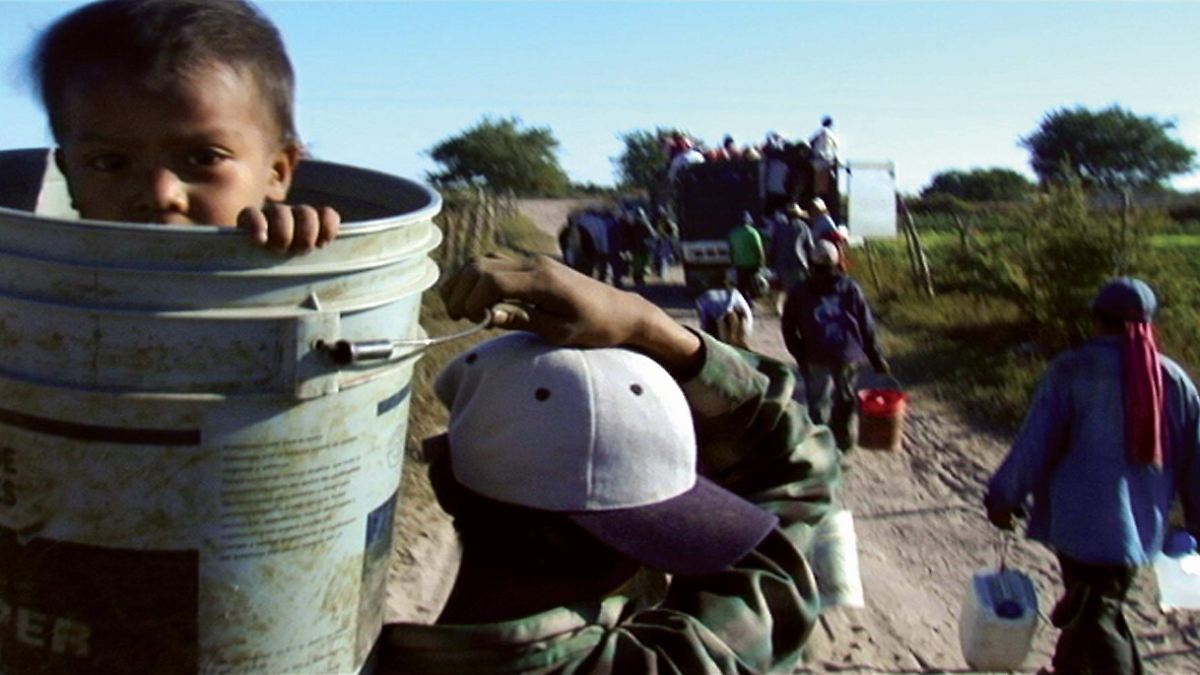 Canal 22 rinde homenaje a Eugenio Polgovsky con tres documentales emblemáticos
