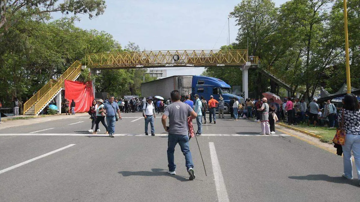 cnte oaxaca