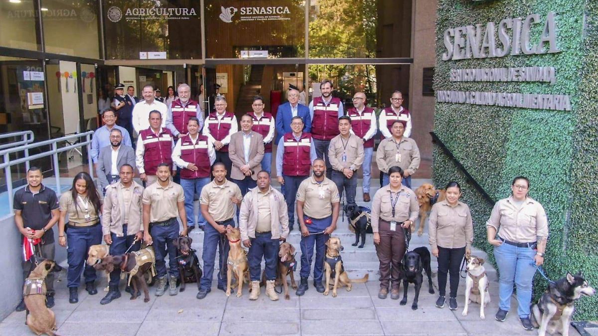 PERROS ANTIDROGAS Y PLAGAS CUIDARÁN EL MUNDIAL 2026