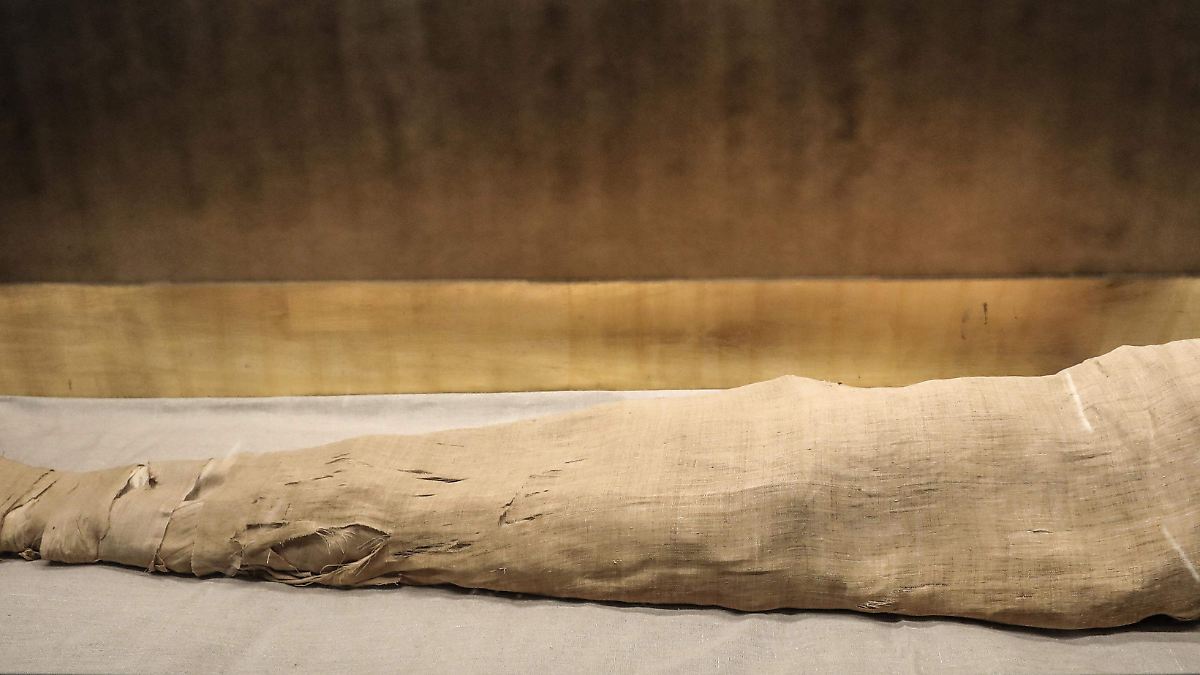 HALLAZGO HISTÓRICO: MOMIA EGIPCIA DESCUBIERTA CON LA ILÍADA