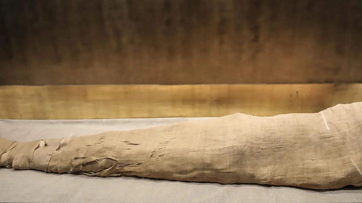 AFP__20231203__AA_03122023_1442144__v1__HighRes__ImhotepMuseumReopensInEgypt.jpg