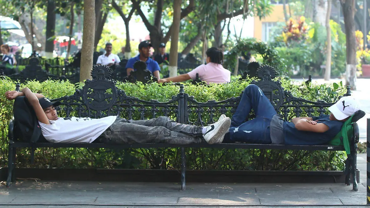 984049_Cotidiana Sueño Joven .JPG_web