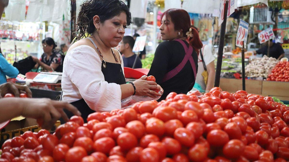GOBIERNO LANZA OFENSIVA CONTRA EL JITOMATE CARO