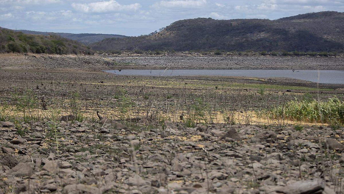CALOR EXTREMO: LA ONU LANZA ALARMA GLOBAL